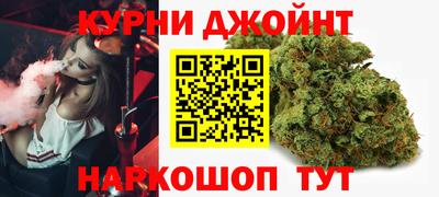 сатива Заводоуковск