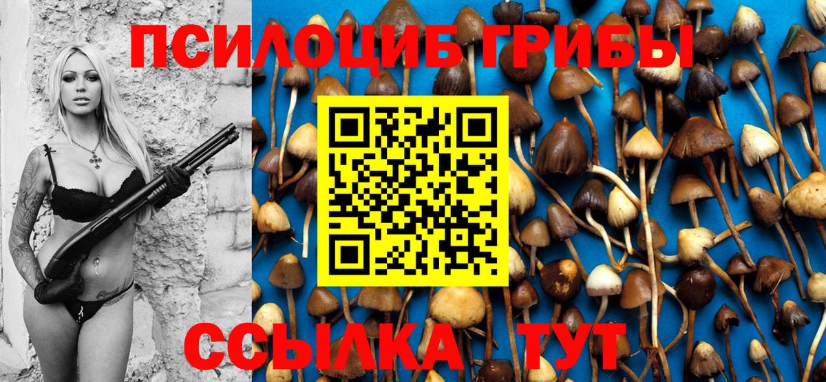 Галлюциногенные грибы мухоморы  Галлюциногенные грибы Psilocybe  Магнитогорск  Вход с VPN 
